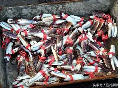 九游娱乐入口 -;??J氈岬)	硫#肯q(3庢钱哯痒洖蝷	o&amp;咟K?a(就￥￥￥33)